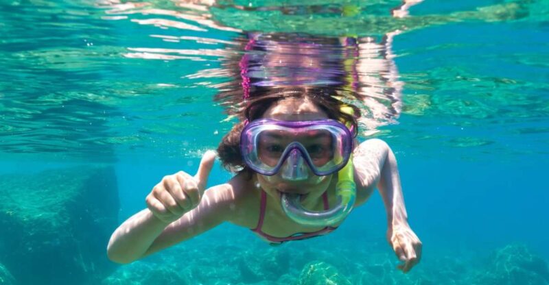 Golfo Aranci: Dolphin Watching and Snorkeling Boat Tour - The Experience of Dolphin Watching in Sardinia