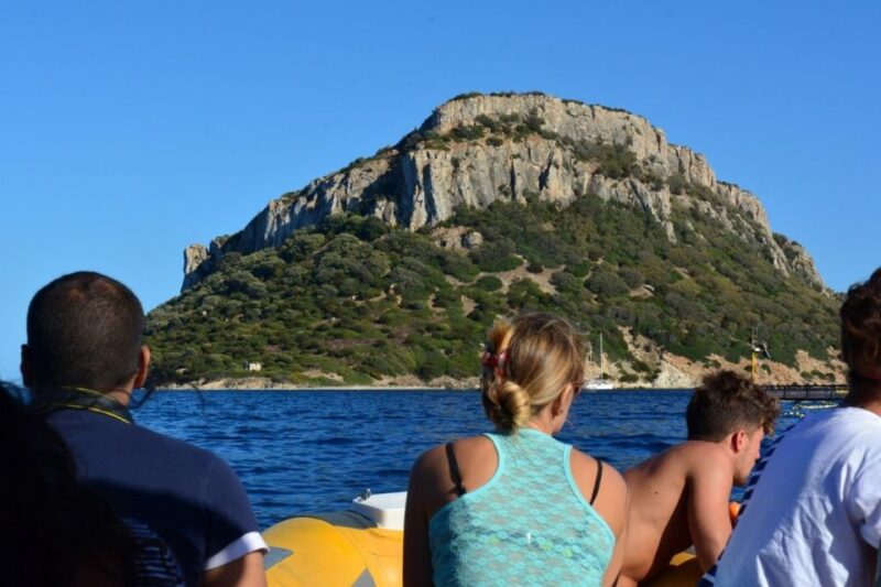 Golfo Aranci: Dolphin Watching and Snorkeling Boat Tour - Logistics and Group Size for a Comfortable Trip