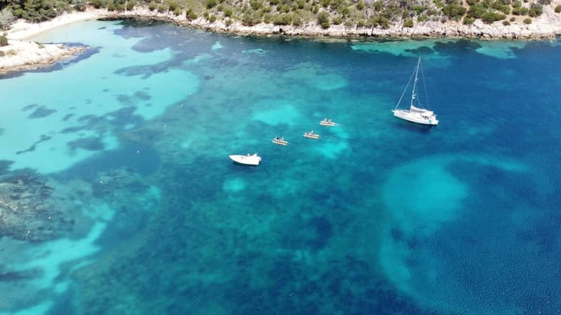 Golfo Aranci: Hydrobike Experience with Aperitif & Dolphins - Key Points