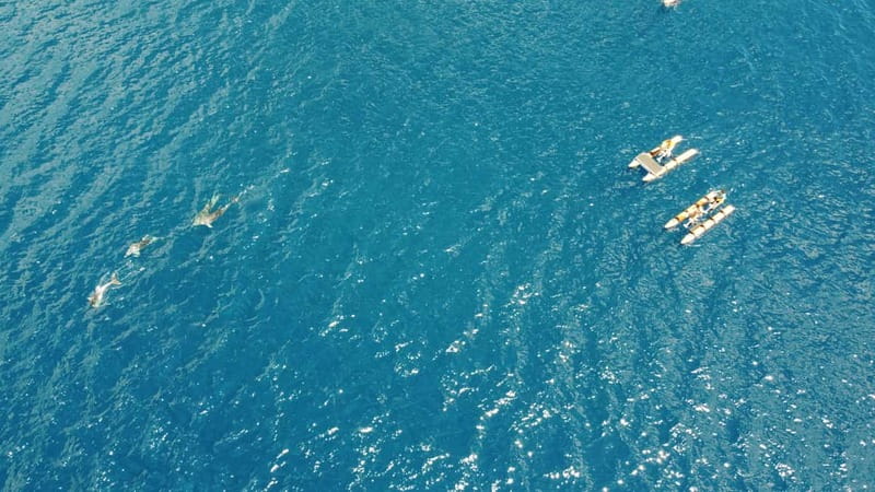 Golfo Aranci: Hydrobike Experience with Aperitif & Dolphins - Marine Life and Dolphin Watching in Sardinia