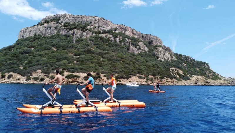 Golfo Aranci: Hydrobike Experience with Aperitif & Dolphins - Scenic Route and Local Ecosystem Insights