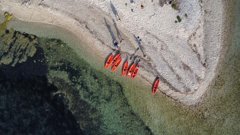 Golfo Aranci: Kayak tour with dolphin watching - Discover the Unique Charm of Golfo Aranci’s Kayak and Dolphin Tour