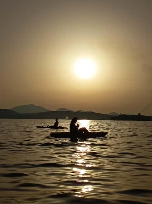 Golfo Aranci: Kayak tour with dolphin watching - Key Points