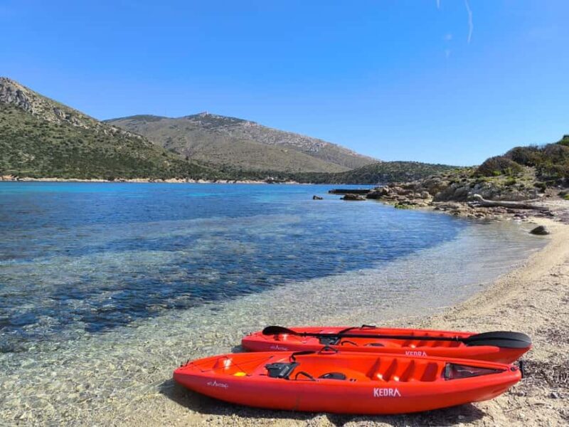 Golfo Aranci: Kayak tour with dolphin watching - From Dawns Silence to Sunset’s Warmth