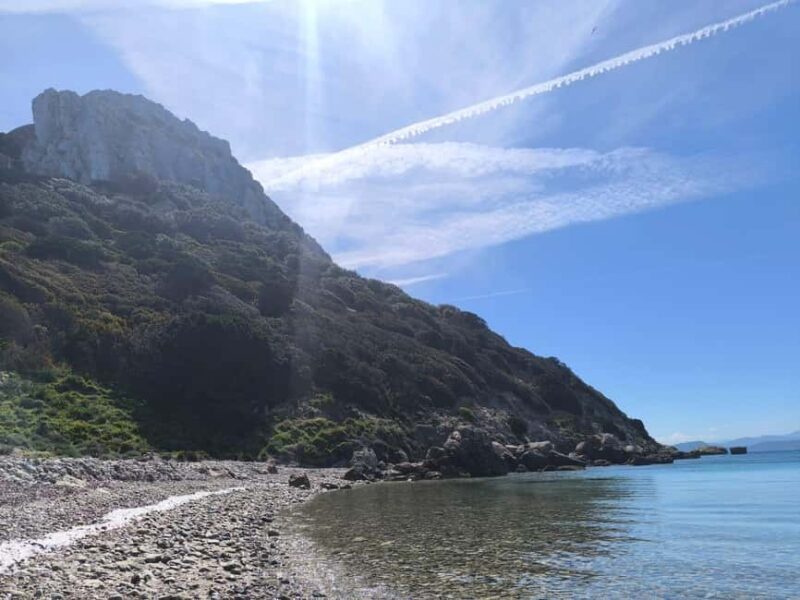 Golfo Aranci: Kayak tour with dolphin watching - Navigating Cala Moresca and Figarolo’s Scenic Views