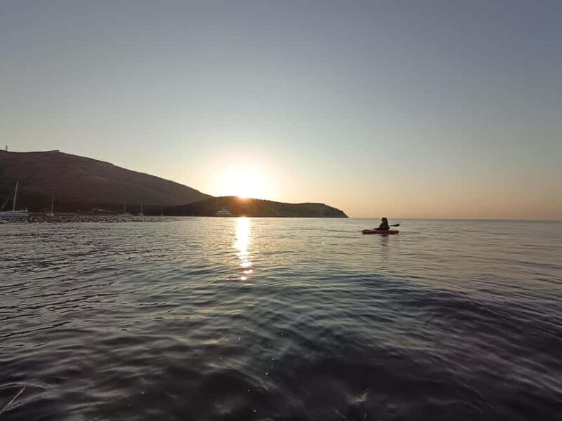 Golfo Aranci: Kayak tour with dolphin watching - Practical Tips for Your Kayak and Dolphin Tour