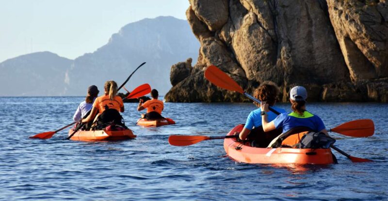 Golfo Aranci: Kayak Tour with Dolphins and Aperitif - Golfo Aranci: Kayak Tour with Dolphins and Aperitif