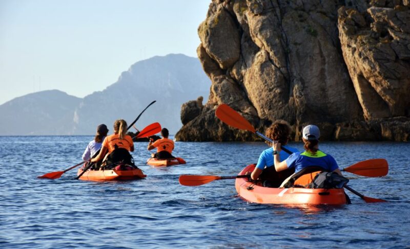 Golfo Aranci: Kayak Tour with Dolphins and Aperitif - Key Points