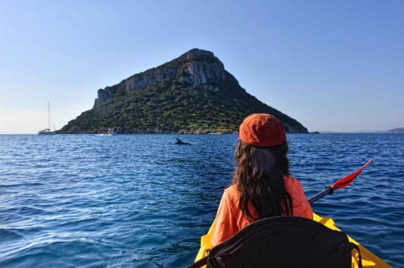 Golfo Aranci: Kayak Tour with Dolphins and Aperitif - Exploring Cala Moresca’s Natural Colors