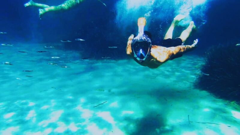 Golfo Aranci: Kayak Tour with Dolphins and Aperitif - The Secluded Island of Figarolo by Kayak