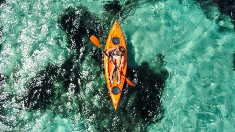Golfo Aranci: Kayak Tour with Dolphins and Aperitif - Visiting the Fish Farm and Dolphin Colony