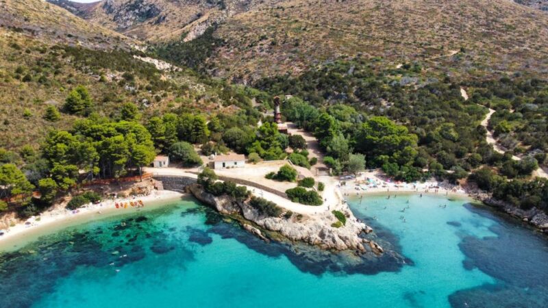 Golfo Aranci: Kayak Tour with Dolphins and Aperitif - Snorkeling and Marine Life Encounters