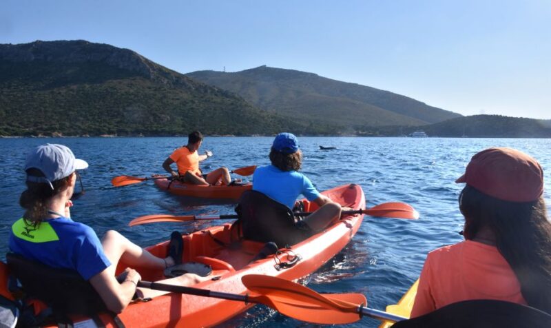 Golfo Aranci: Kayak Tour with Dolphins and Aperitif - The Practicalities: Logistics and Equipment