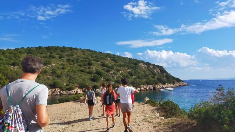 Golfo Aranci: RIB tour with Dolphin Watching - Suitable for Water Enthusiasts and Nature Lovers