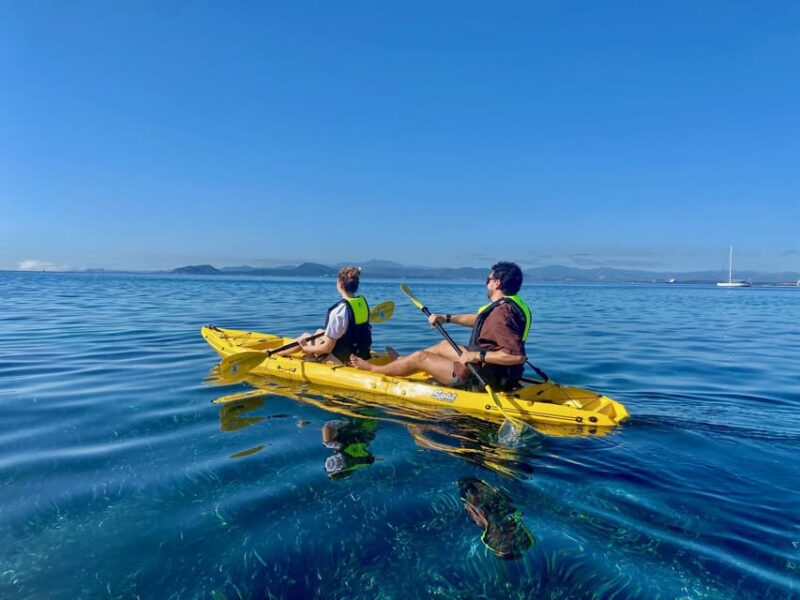 Golfo Aranci: Small group Kayak tour with Aperitif &dolphins - The Unique Experience of Paddle and Snorkel in Sardinia’s Waters