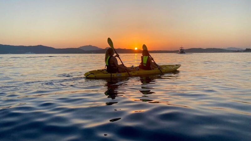 Golfo Aranci: Small group Kayak tour with Aperitif &dolphins - Personalized Service with Professional Multilingual Guides
