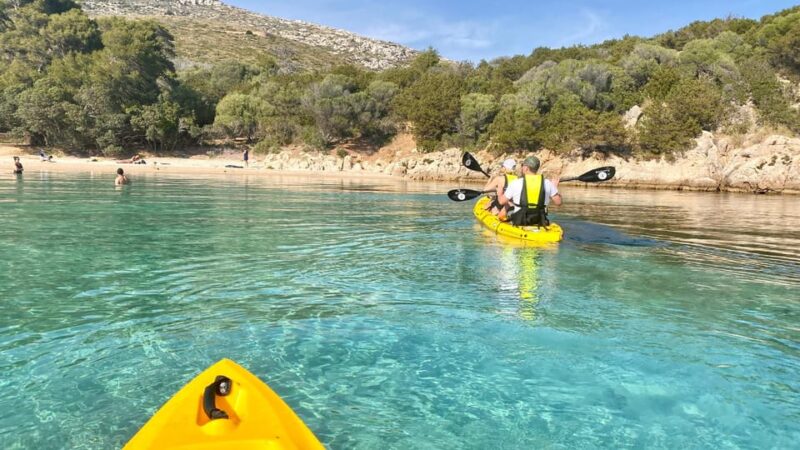 Golfo Aranci: Small group Kayak tour with Aperitif &dolphins - Practical Details: Meeting, Duration, and Booking