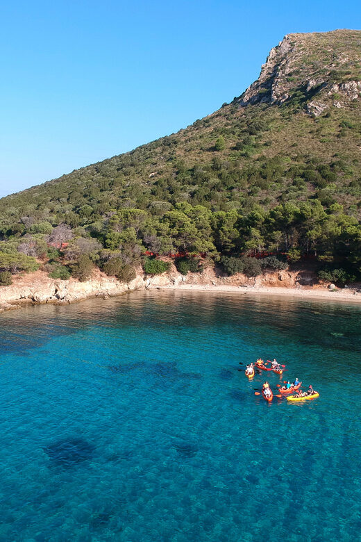 Golfo Aranci: Sunrise Dolphin Kayak Tour with Breakfast - Key Points