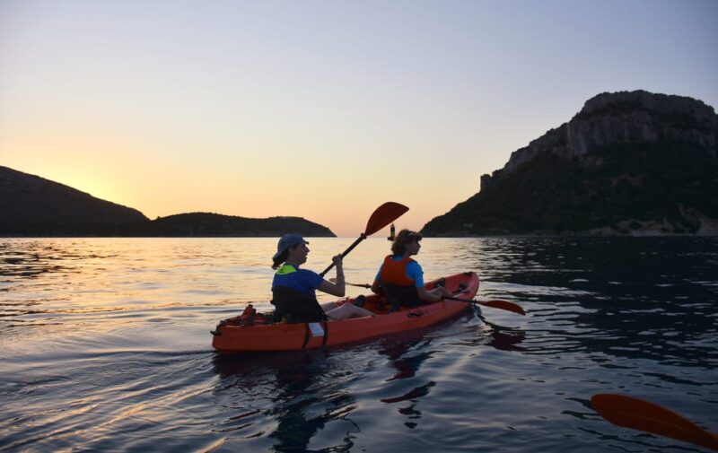 Golfo Aranci: Sunrise Dolphin Kayak Tour with Breakfast - Visiting the Fish Farm and Dolphin Colony