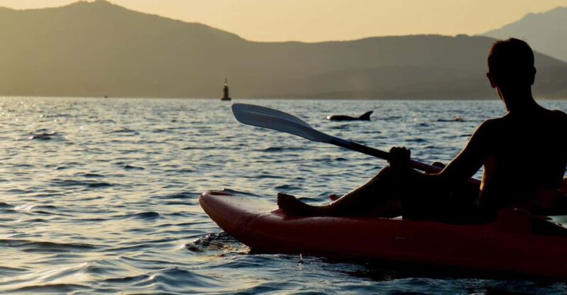 Golfo Aranci: Sunset Dolphin Kayak Tour with Aperitif - Key Points