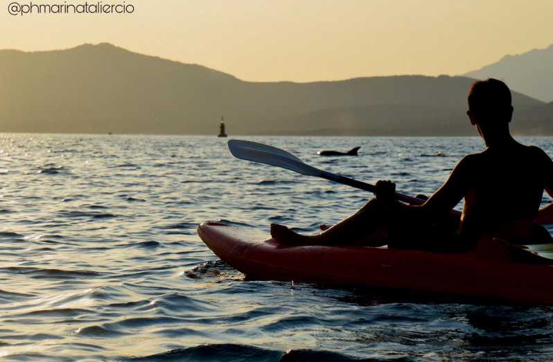 Golfo Aranci: Sunset Dolphin Kayak Tour with Aperitif - Starting Point and Meeting Details in Golfo Aranci