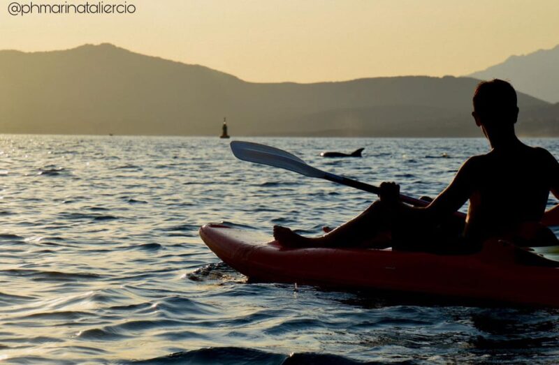 Golfo Aranci: Sunset Dolphin Kayak Tour with Aperitif - Traditional Sardinian Tastes During the Tour