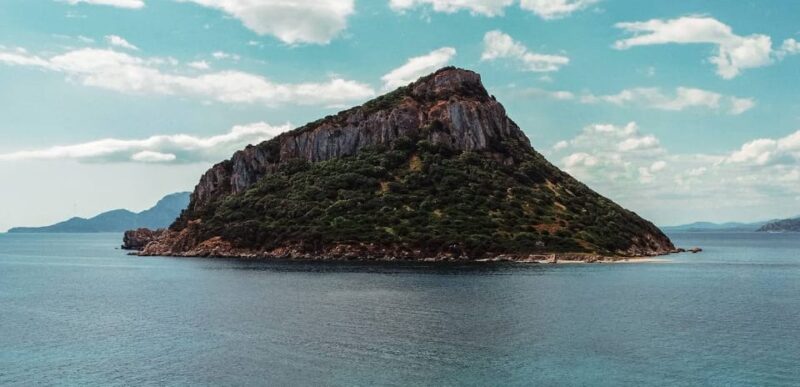 Golfo Aranci: Sunset Dolphin Kayak Tour with Aperitif - Physical and Accessibility Considerations