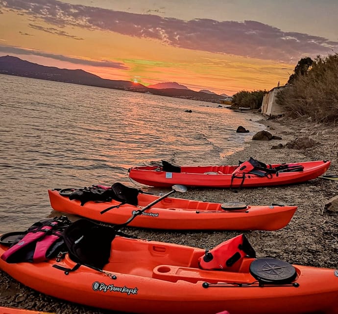 Golfo Aranci: Sunset Dolphin Kayak Tour with Aperitif - How This Tour Compares to Other Dolphin and Snorkeling Options