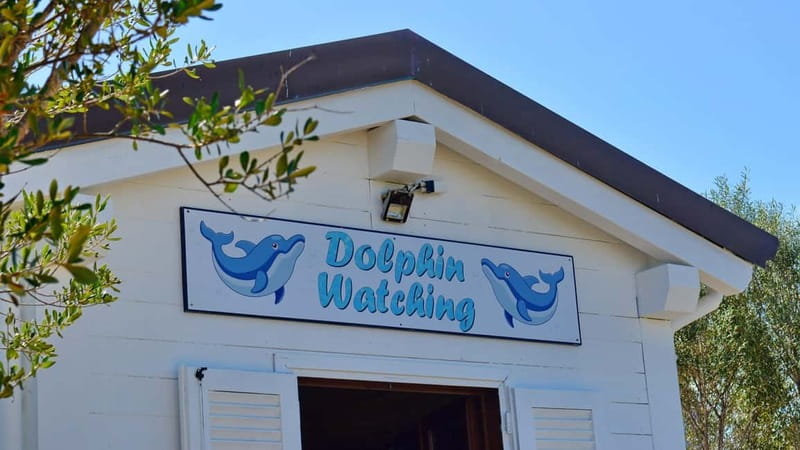 Golfo Aranci: Tavolara and Molara Snorkeling Dinghy Tour - Relaxing at Punta Spalmatore