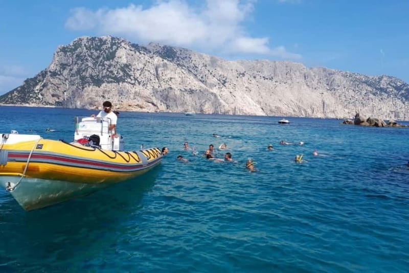 Golfo Aranci: Tavolara and Molara Snorkeling Dinghy Tour - The Comfort and Expertise of the Crew