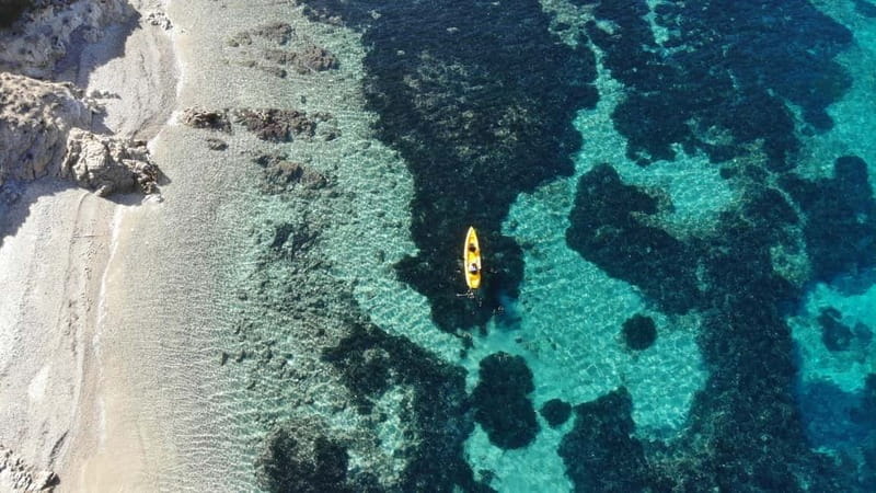 Golfo Aranci:Small group, german guided Kayak tour&Dolphins - Visit to Figarolo Island and Local Sardinian Snacks