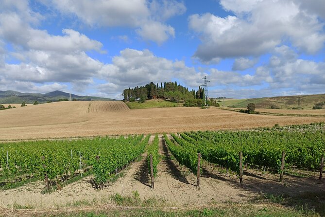 "Good Morning Chianti Classico" - Tour in 2 wineries with lunch - Wine Tasting at Two Select Wineries