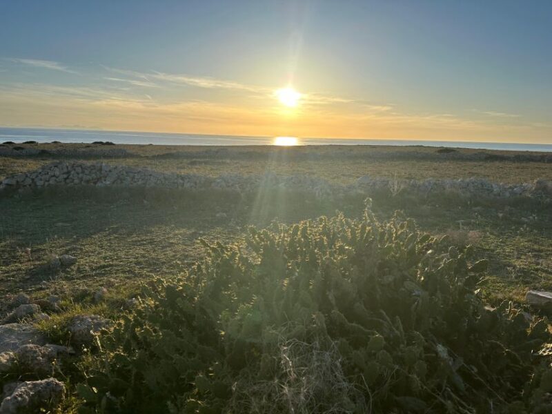 Good night Menorca: sunset with aperitif - The Guide: Expertise and Personal Touch