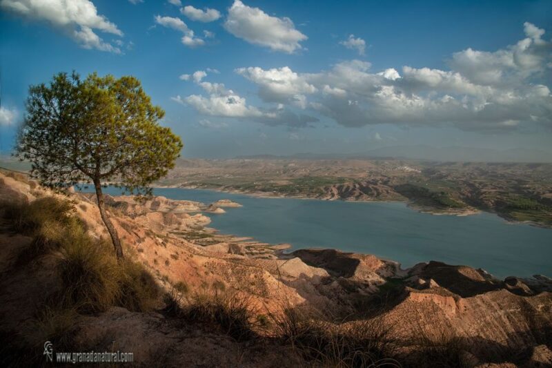 Gorafe: Los Coloraos Desert 4x4 Tour - Discovering the Granada Geopark’s Unique Badlands