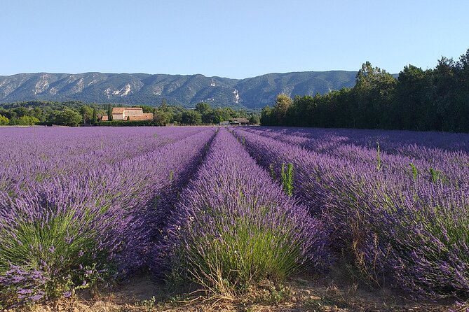 Gordes, Roussillon(+ Ochre Trail) & Fontaine de Vaucluse - Practicalities: Transport, Pacing, and Group Size