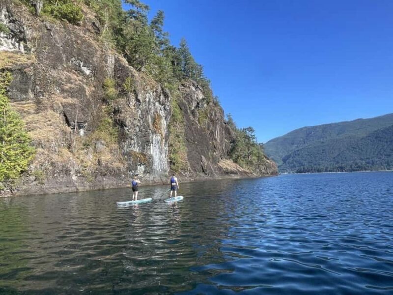 Gordon Bay: 1.5-Hour Paddleboard Tour of Gordon Bay Islands - The Unique Appeal of the Moss-Covered Cliffs and Emerald Bays