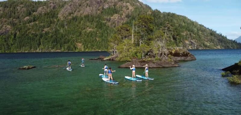 Gordon Bay: 1.5-Hour Paddleboard Tour of Gordon Bay Islands - The Guide’s Role in Making the Experience Memorable
