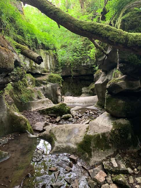Gorge Walking Taster Session in South Wales - Gorge Walking Taster Session in South Wales: An Exciting Day Out for Beginners and Nature Lovers