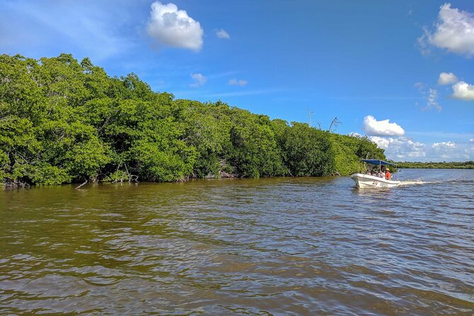 Gorgeous Natural Pink Lake, Las Coloradas Tour! From Cancun & Riviera Maya - The Impact of Weather and Rain