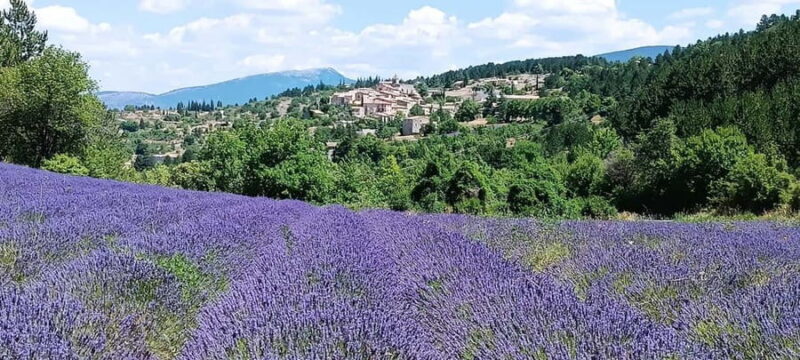 Gorges du Verdon & Plateau de Valensole - What’s Not Included: Meals and Personal Purchases