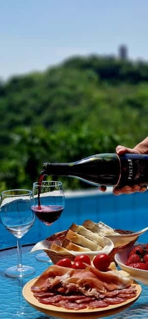 Gorika Brda: Wine Tasting with Local Snacks - Key Points