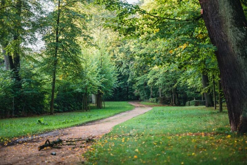 Görlitz: Görlitz-Zgorzelec Guided Walking Tour - Key Points