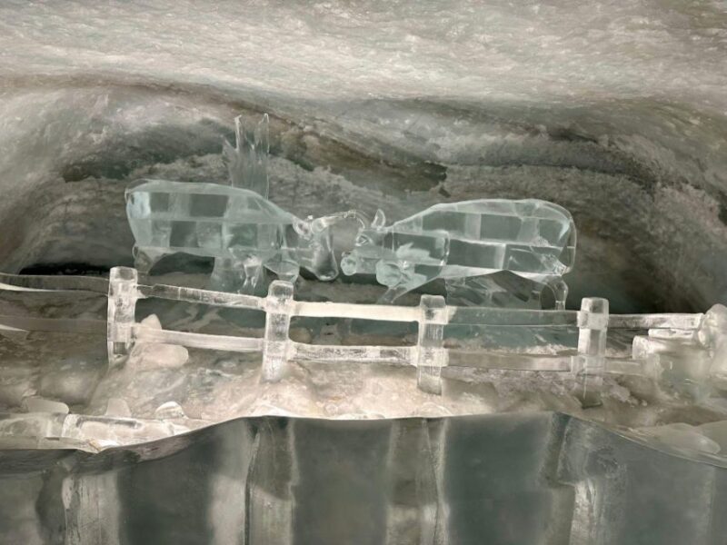 Gornergrat & Matterhorn Glacier Paradise Tour | From Zurich - The Scenic Train Rides and Mountain Vistas