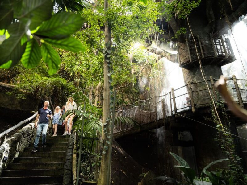 Gothenburg: Go City All-Inclusive Pass with 20+ Attractions - Visiting Gothenburg’s Top Museums and Cultural Sites