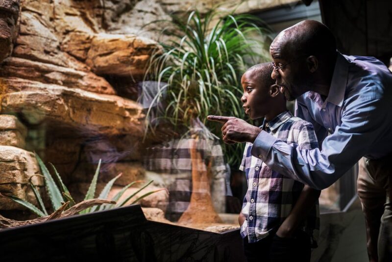 Gothenburg: Go City All-Inclusive Pass with 20+ Attractions - Frequently Asked Questions