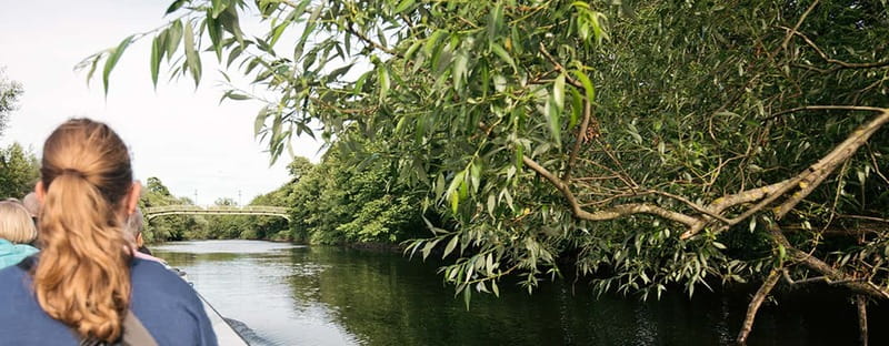 Gothenburg: Paddan Sightseeing Cruise on the River Säveån - Discovering the Nature of Säveån