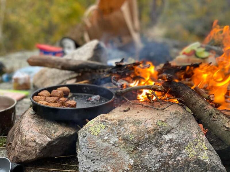 Gothenburg: The Local Experience - Home Visit, Food & Forest - Forest Walk and Fire Building in the Swedish Woods