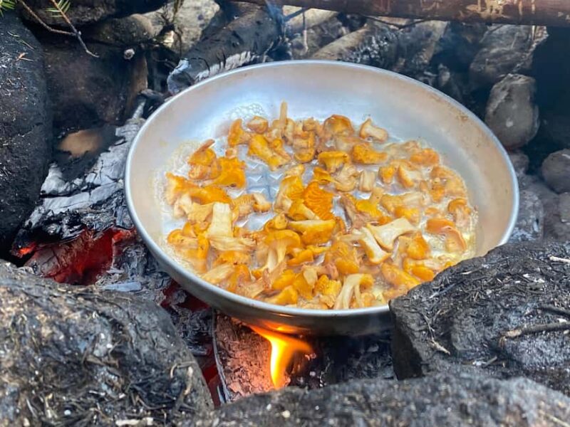 Gothenburg: The Local Experience - Home Visit, Food & Forest - Practical Details: Group Size, Duration, and Inclusivity