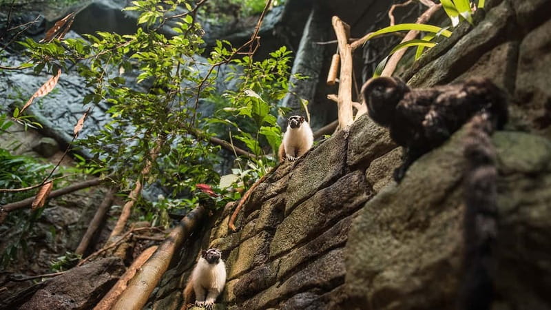 Gothenburg: Universeum Entry Ticket - Key Points