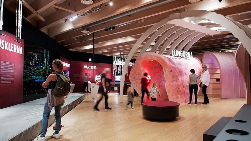 Gothenburg: Universeum Entry Ticket - The Human Body and Chemistry: Hands-On Learning for All Ages